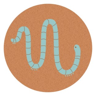 grub farm - logo - blue orange small